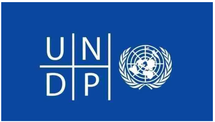 2024 United Nations UNDP Essay Competition | How to Apply
